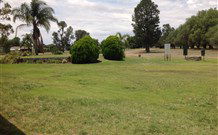 Berrigan Motel - Berrigan - Hobart Tourism 3