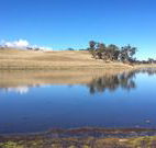 Bombala Maneroo Motel - Bombala - Tourism TAS