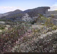 Blackbird Flat Camping Ground - Tourism TAS