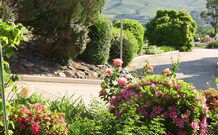 Garden Motor Inn (Golden Chain) - Gundagai - Tourism TAS 5