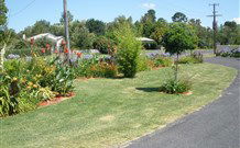 Glen Innes Motel - Glen Innes - Tourism TAS 1