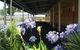 Glen Innes Motel - Glen Innes - thumb 2