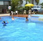 Golden Chain Palm Court Motor Inn - Port Macquarie - Hobart Tourism