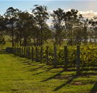 H Boutique Hotel - Pokolbin - Hobart Tourism