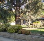 Hamilton Hume Motor Inn - Yass