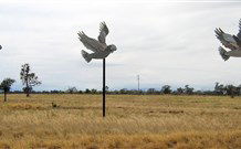 Gulargambone NSW Hobart Tourism