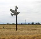 Gulargambone Hotel - Gulargambone - Hobart Tourism