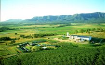 Hunter Valley Resort - Pokolbin - Hobart Tourism 3