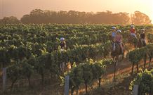 Hunter Valley Resort - Pokolbin - Hobart Tourism 7