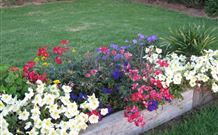 Narromine Tourist Park And Motel - Narromine - Tourism TAS 1