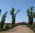 Newell Motor Inn - Narrandera