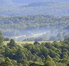 Nowendoc Country Motel - Nowendoc - Tourism TAS