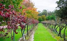 Peppers Convent Hunter Valley - Pokolbin - Tourism TAS 4