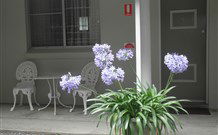 Pine Lodge Motel - Woolgoolga - Hobart Tourism 0