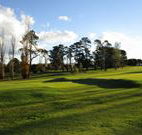 Tenterfield Golf Club and Fairways Lodge - Tenterfield - Tourism TAS