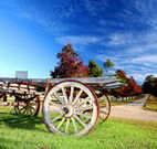 Oaks Ranch  Country Club - Hobart Tourism