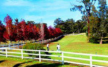 Oaks Ranch & Country Club - Tourism TAS 1