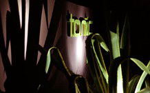 Tonic Hotel - Tourism TAS 5