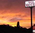 Walcha Motel - Walcha - Tourism TAS