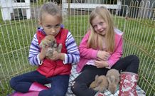 Ashmar Farm Stay - Tourism TAS 2