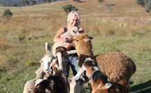 Ba Mack Homestead - Hobart Tourism 5