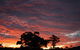 Banksia Park Cottages - thumb 3