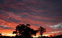 Banksia Park Cottages - Hobart Tourism 3