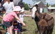 Barkeldine Farm Country Retreat - thumb 2