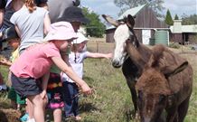Barkeldine Farm Country Retreat - Hobart Tourism 2