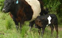 Barkeldine Farm Country Retreat - Hobart Tourism 4