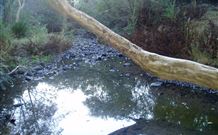 Barkeldine Farm Country Retreat - Hobart Tourism 3