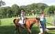 Big Bell Farm - thumb 3