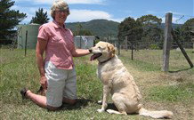 Big Bell Farm - Tourism TAS 2