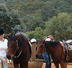 Clark Bay Cottages - Hobart Tourism