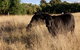 Hanericka Farmstay - thumb 1