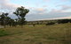 Hanericka Farmstay - thumb 5