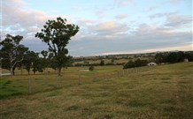 Hanericka Farmstay - Tourism TAS 5