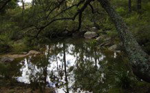 Palm Grove NSW Tourism TAS