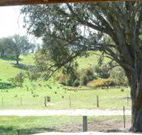 Hosanna Farm Retreat - Tourism TAS