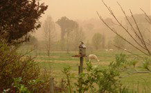 Joselands Country Accommodation - Tourism TAS 3