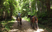 Malibells Country Cottages - Tourism TAS 1