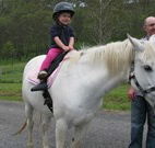 Mansfield Cottage Barrington Tops Accommodation