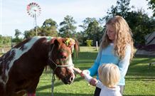 Mogendoura Farm Eurobodalla - Hobart Tourism 7