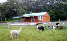 Wondalga ACT Tourism TAS