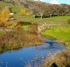 Ralda's Cottage - Tourism TAS