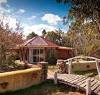 Starline Alpaca Farm Stay - Hobart Tourism