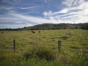 Goolmangar NSW Tourism TAS