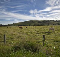 Annas Retreat - Tourism TAS