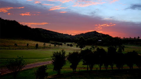 Mystwood Retreats - Hobart Tourism 5
