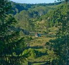 Yarralong BnB and Farm Stay - Hobart Tourism